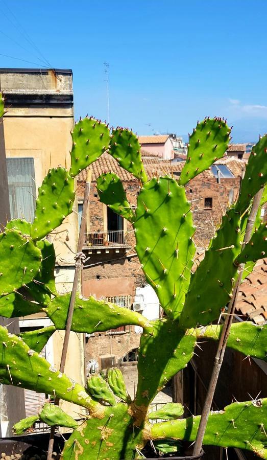 Fera O' Luni Acomodação com café da manhã Catânia Exterior foto